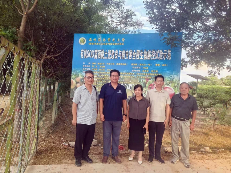 澄城县科技资源统筹中心赴西农科技小院调研 共谋农科合作新路径