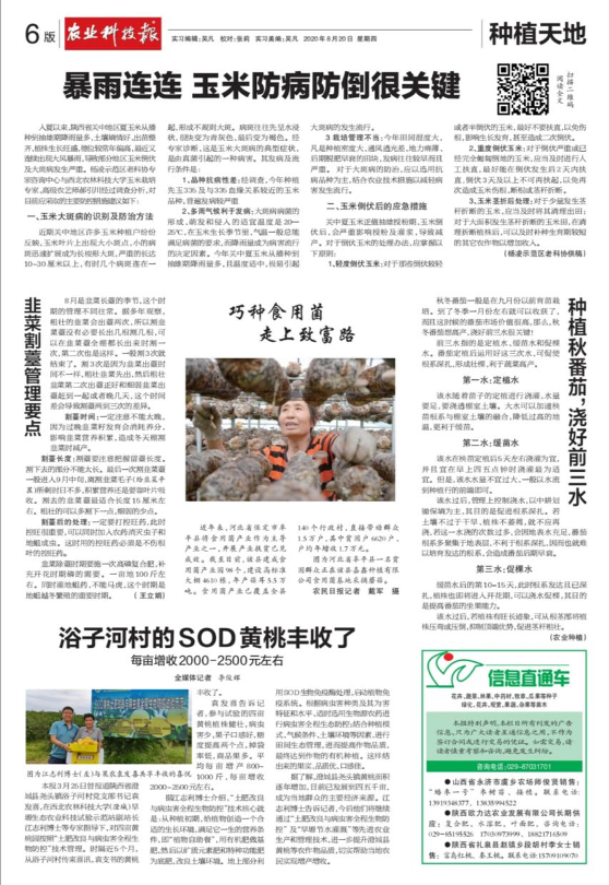 8cc8969824c1435c8696537360899c5f.png 图片 1.png