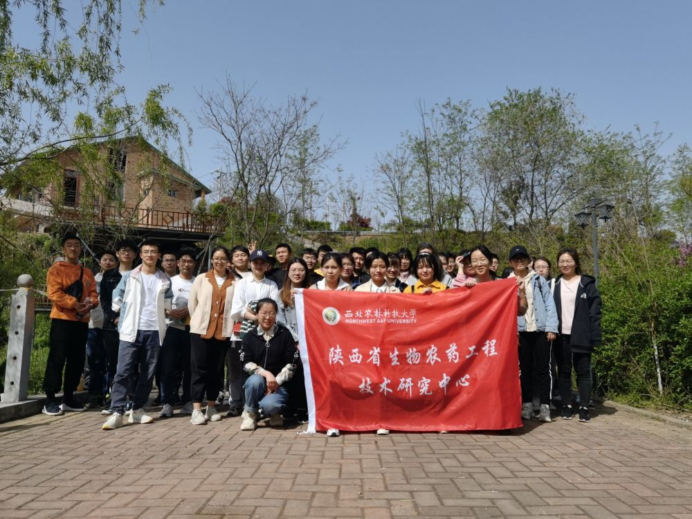 81b1f1635b4a47538c9ba5eef2df3277.png 81b1f1635b4a47538c9ba5eef2df3277.png